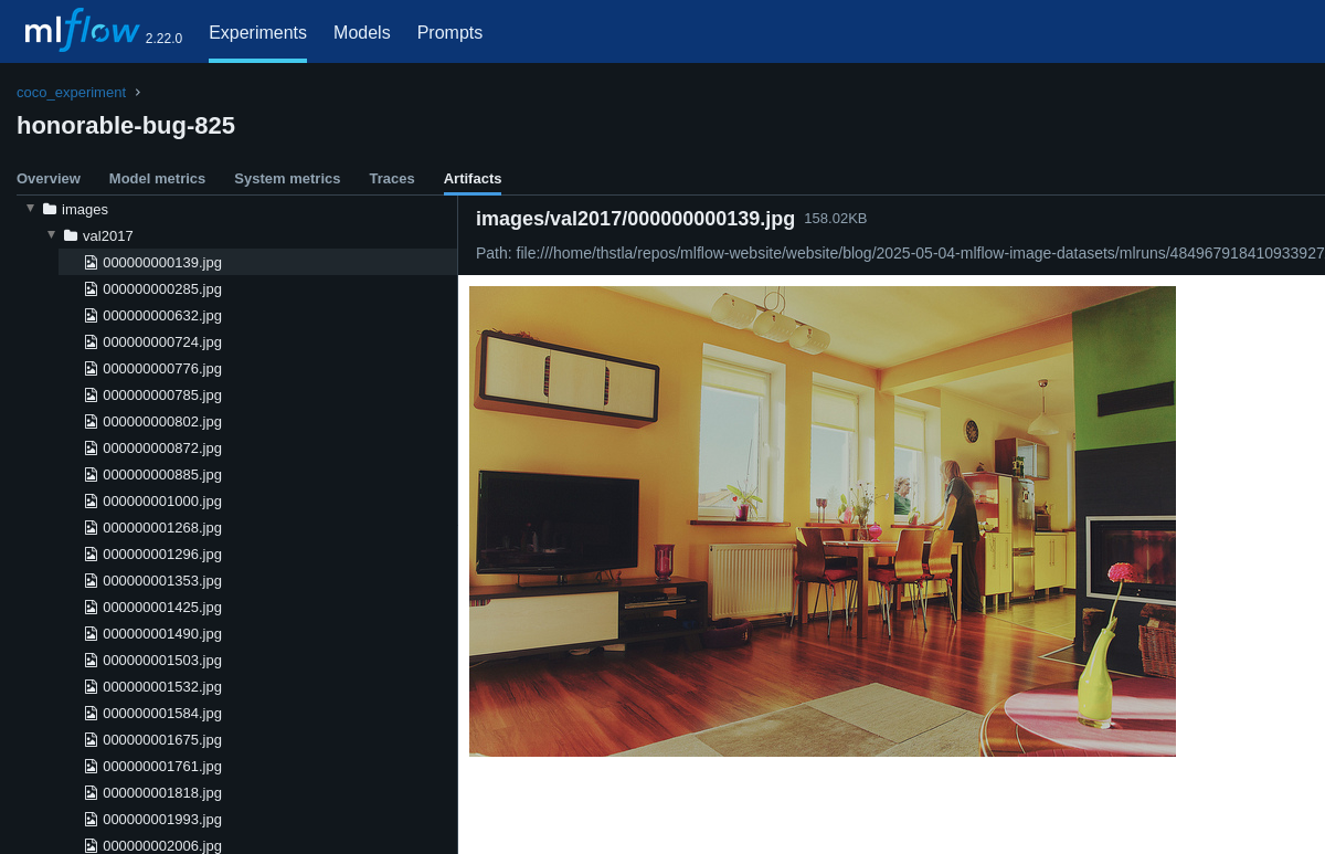 COCO dataset annotated image example
